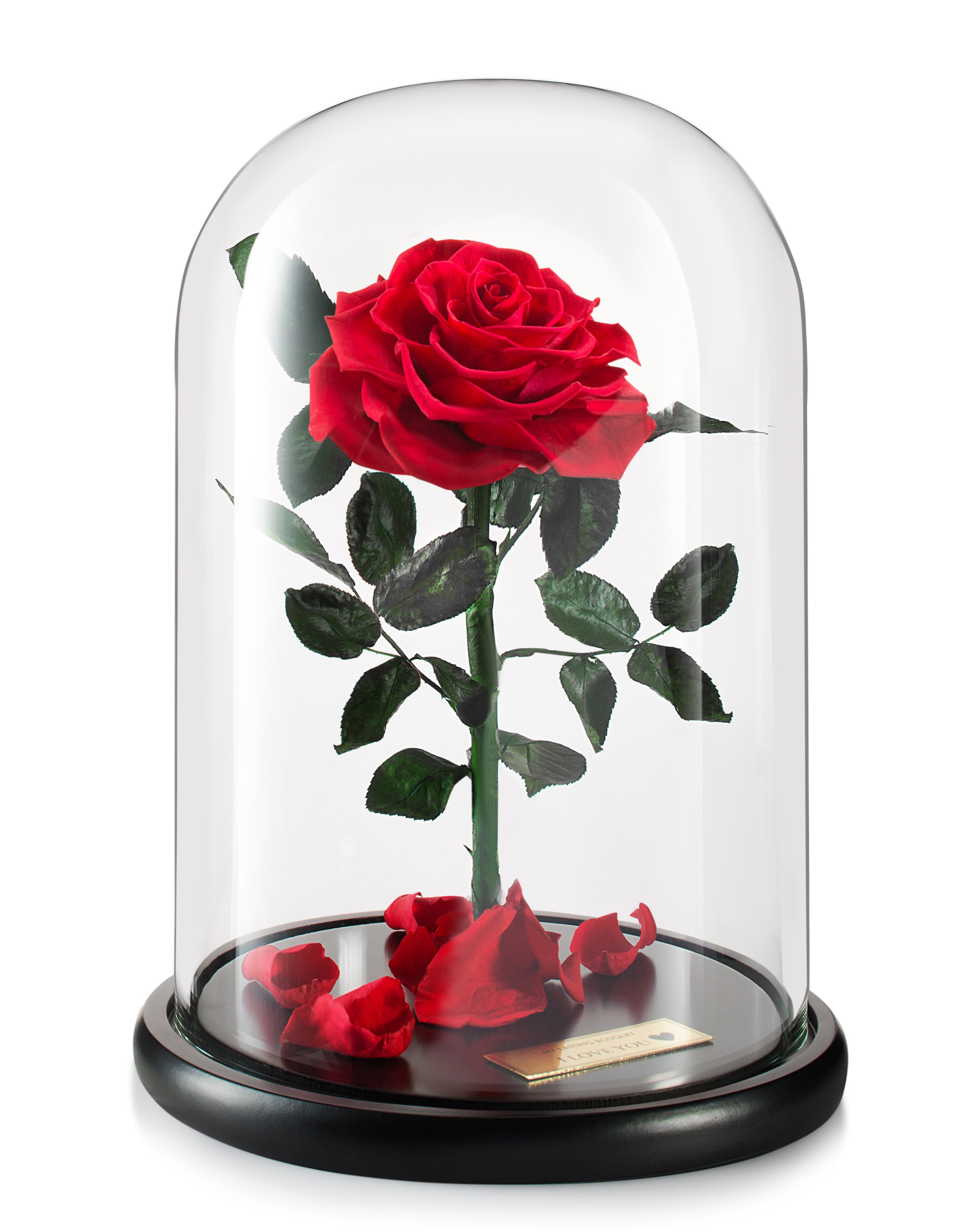 Red Lasting Belle - My Lasting Bouquet