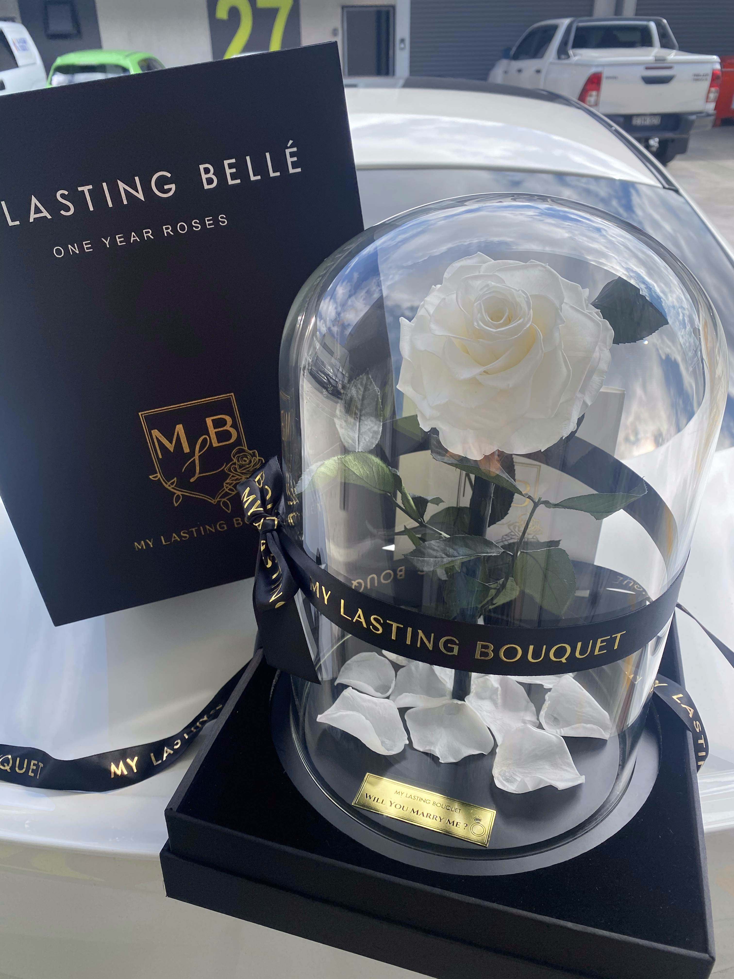 White lasting belle for sale