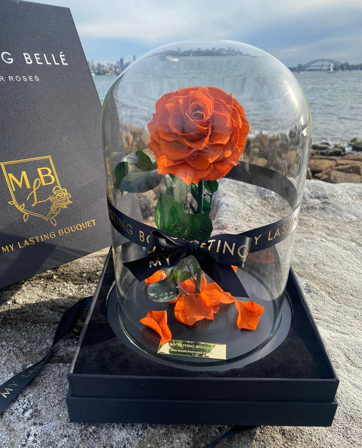 Orange Lasting Belle - My Lasting Bouquet