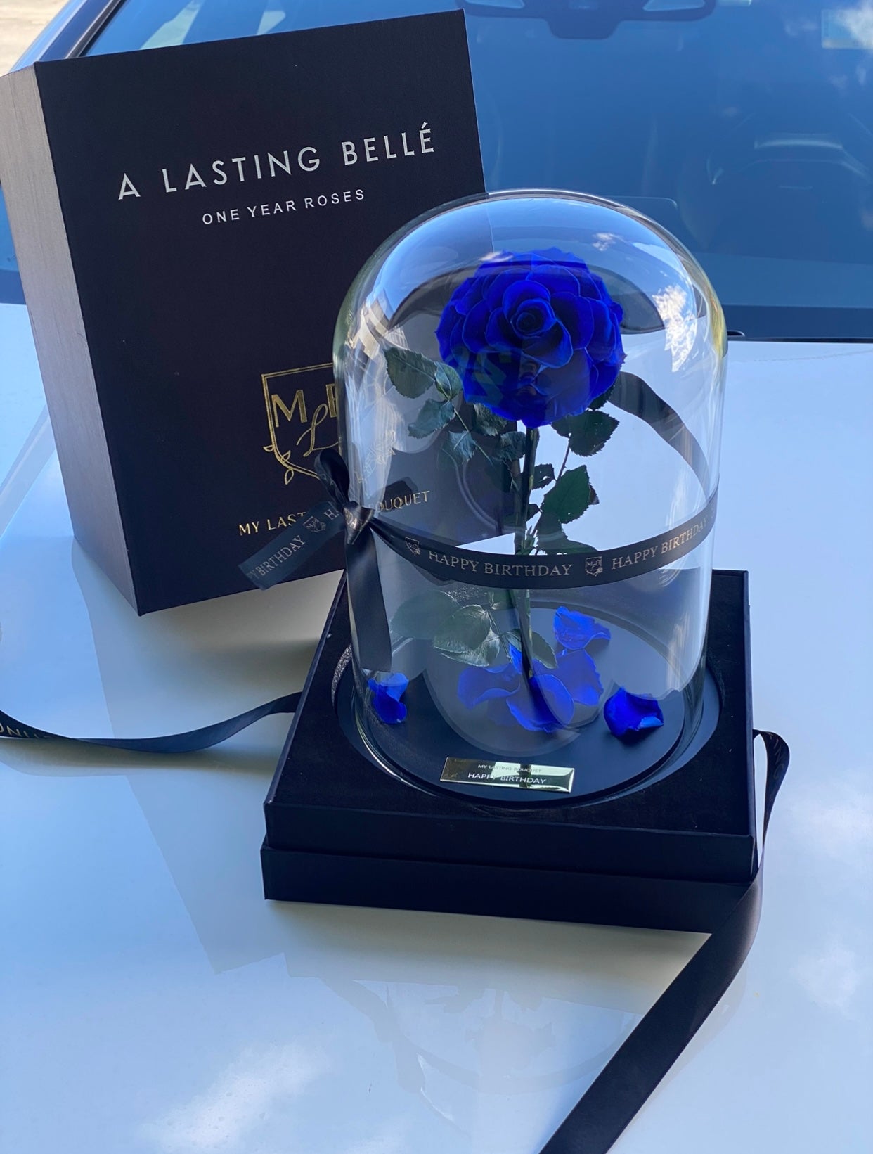 Midnight Blue Lasting Belle - My Lasting Bouquet